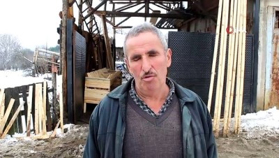  Ahırın çatısı kara dayanamadı, 50’ye yakın koyun telef oldu 