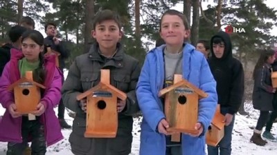 kus yuvasi -  İlkokul öğrencilerinden küçük dostlarımıza sıcak yuva  Videosu