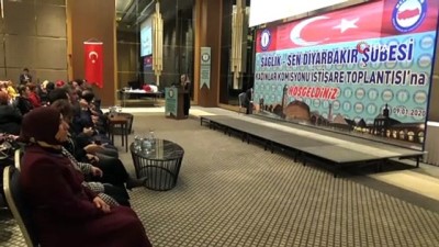 icisleri bakani -  Diyarbakır’da Sağlık-Sen Kadın Komisyonu İstişare Toplantısı yapıldı  Videosu