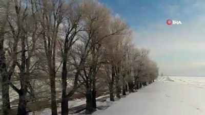  Erzurum'da düşen kırağı sonrası görsel şölen 