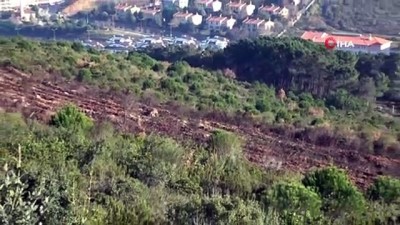  PKK terör örgütü adına yangın çıkarılan Aydos Ormanlarında mahkeme heyeti keşif yaptı