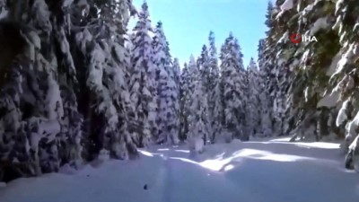  Kartalkaya’da kaybolan 3 kayakçıyı jandarma kurtardı