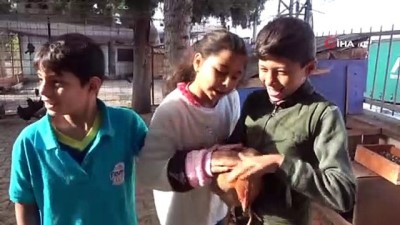  Okula kurulan kümesle öğrencilere hayvan sevgisi aşılanıyor 