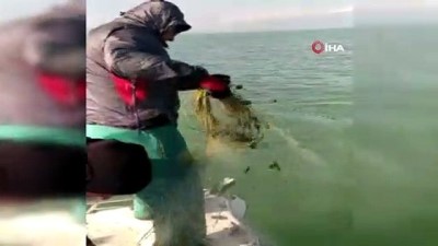 sparta -  Eğirdir Gölü'nde kaçak avlanan 100 kilogram canlı kerevit göle geri bırakıldı Videosu