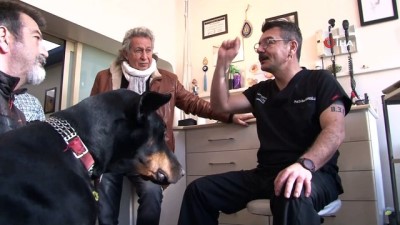 goz tedavisi -  Bakan Pakdemirli’nin sahip çıktığı görme yetisini kaybeden “Bobo’nun” tedavisine başlandı  Videosu