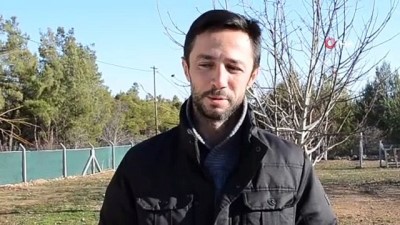  Kedi ile köpekten ‘dostluk’ örneği 