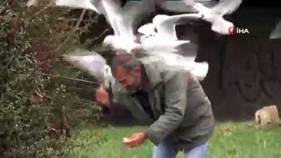 profiterol -  Bakırköy'de her gün yüzlerce martıyı elleriyle besliyor  Videosu