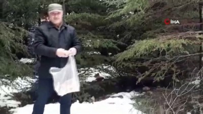 ormana -  Bayat ekmekleri toplayıp yaban hayvanlarına bırakıyor  Videosu