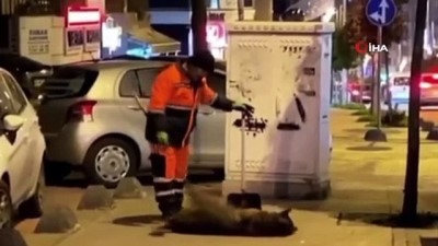 okyanus -  Temizlik işçisi ile sokak köpeği arasındaki sevgi bağı duygulandırdı Videosu