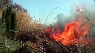  Antalya'da sazlık yangını 
