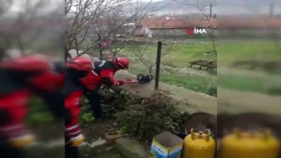  Bahçe tellerine sıkışan köpeği itfaiye kurtardı 