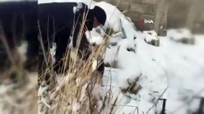  Başı bidona sıkışan yavru köpeği jandarma kurtardı 