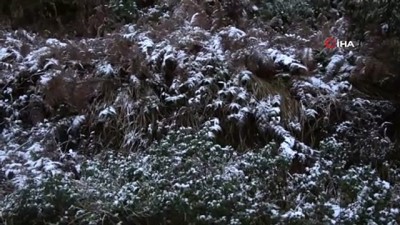  İstanbul’da kar yağdı, Aydos Ormanı beyaz örtüyle kaplandı 