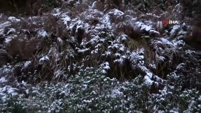  İstanbul’da kar yağdı, Aydos Ormanı beyaz örtüyle kaplandı 