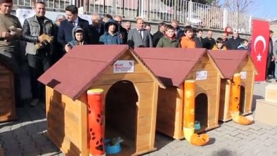  Öğrencilerden sokak hayvanlarına sıcak yuva 