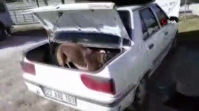  Otomobilin kornasından uyuşturucu çıktı