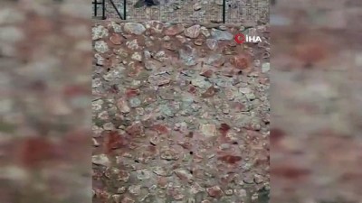 amator kamera -  Karga ile sincabın oyunu kamerada  Videosu