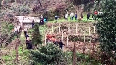  Rize’de korkutan ahır yangını