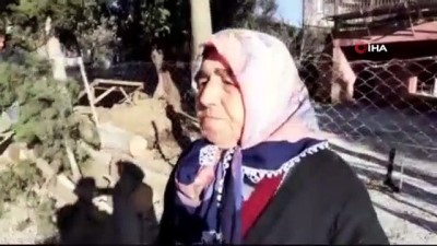  Adana'da fırtına ağaçları kökünden söktü 