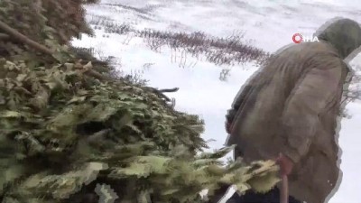  Besicilerin zorlu kış mesaisi 