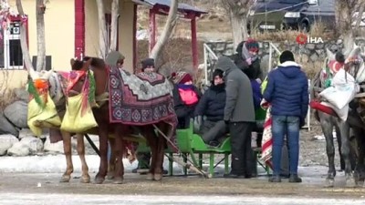  Çıldır’da kızak atlarına battaniyeli koruma 
