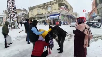 yagmurlu -  Donmaktan kurtardıkları eşeği giydirdiler Videosu