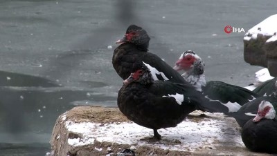  Kayseri'de donduran soğuk...Suni göl buz tuttu 