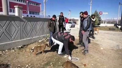 motosikletci -  Motosiklet kulübü üyelerinden ‘Sokak hayvanları aç kalmasın’ etkinliği Videosu