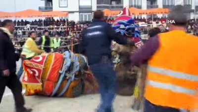15 bin kisi -  Burhaniye’de deve güreşlerini 15 bin kişi izledi Videosu