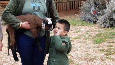 hayvan -  Kadınlara kıl keçisi desteklemesi meyvesini veriyor Videosu