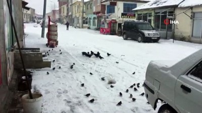  Karlıova beyaza büründü 