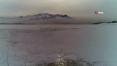 buz tutan gol -  Sıhke Gölü'nün yüzeyi buzla kaplandı  Videosu