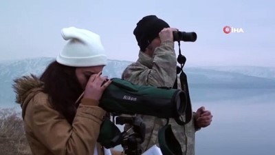 kus cenneti -  Türkiye’nin yeni kuş cennetinde kuş sayımı yapıldı  Videosu