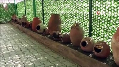  5 ayda 500 parça toplayarak müzeye dönüştürdüler 