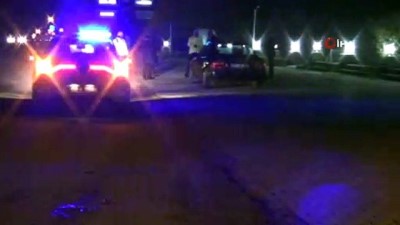  Başıboş atlar, sürücülerin korkulu rüyası haline geldi 