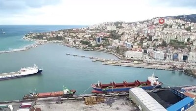 amator kamera -  Çok nadir görülen 'Alaca Çinte Kuşu' 4 yıl sonra ilk kez görüntüledi  Videosu