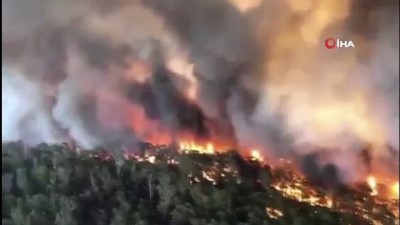 yagan -  - Avustralya'da yangınların bilançosu artıyor: 25 ölü
- Ülke genelinde 19.8 milyon arazi küle döndü  Videosu