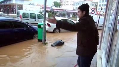 yagmur suyu -  Gazipaşa sele teslim oldu Videosu