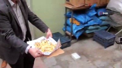  Mahallenin kedileri ona emanet 