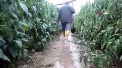 yagan -  Serik'te seralar sular altında kaldı  Videosu