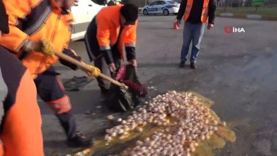  Yola dökülen yumurtaları öylece bırakıp gittiler 