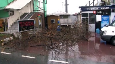  Fırtına stadının reklam panosunu uçurdu 