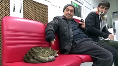 isaf -  - Kargo firmasının en sevimli misafiri: Nuriye  Videosu