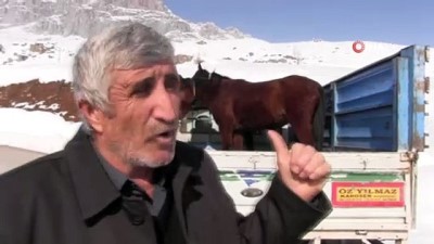 hayvan severler -  Yazın kullanılıp kışın ölüme terkedilen sahipsiz atlara vatandaşlar sahip çıktı  Videosu