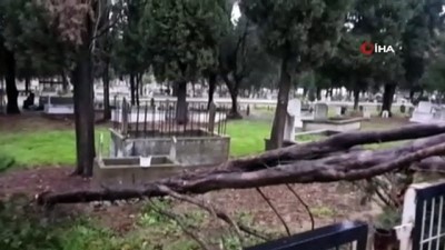 siddetli ruzgar -  Karacabey’de fırtına ağaçları devirdi  Videosu