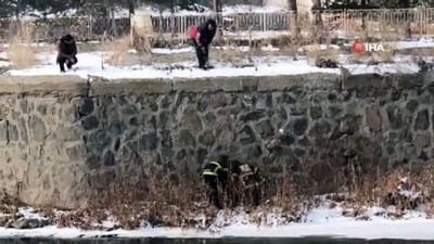  Kars Çayı'nda mahsur kalan köpek kurtarıldı 