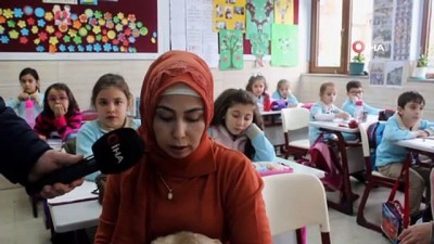 sokak kopekleri -  Sınıfın 32. öğrencisi 'Tarçın'  Videosu