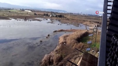 kus cenneti -  Hersek lagününde KOSK sayımı yapıldı  Videosu