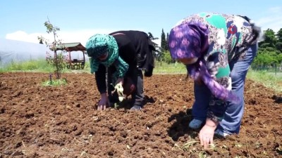 farkindalik yaratma -  Tuzla'da Dünya Yaşlılar Günü'nde anlamlı ziyaret Videosu