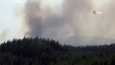  Hatay'ın Suriye sınırındaki orman yangını devam ediyor